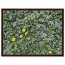 4f0de675-e513-41d2-bd0c-c6f84d1c2ace