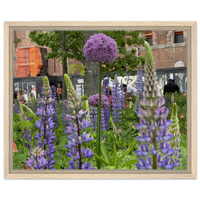 Vibrant Purple Lupine & Allium Garden Bloom Framed Canvas Art – Choose Your Size & Frame