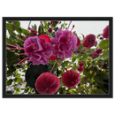 50b7f690-db13-4ef6-ac24-40ec581b6195