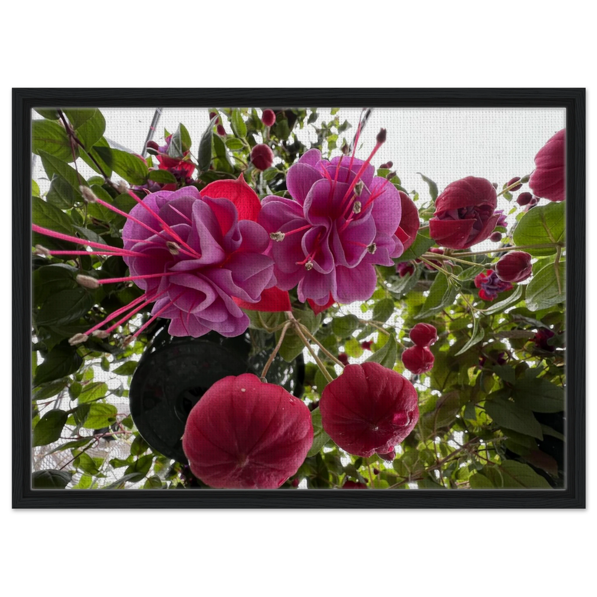 50b7f690-db13-4ef6-ac24-40ec581b6195