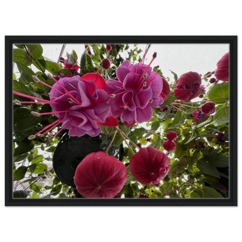 50b7f690-db13-4ef6-ac24-40ec581b6195