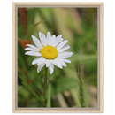 51752bb3-f880-433e-adc3-7f9fb8c5d835