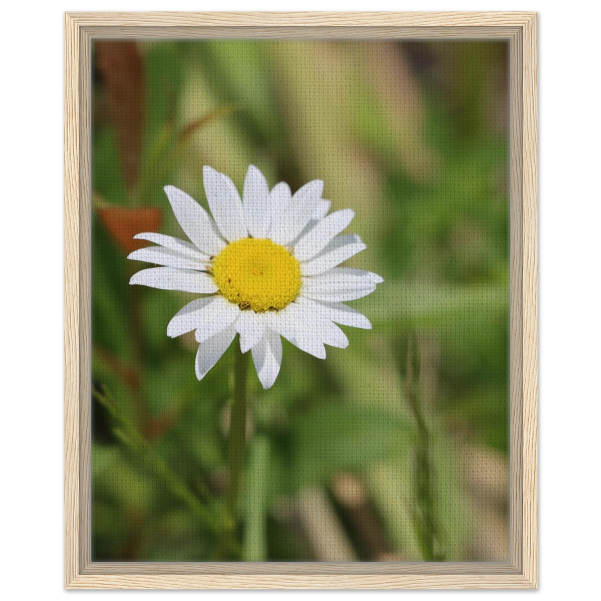 51752bb3-f880-433e-adc3-7f9fb8c5d835