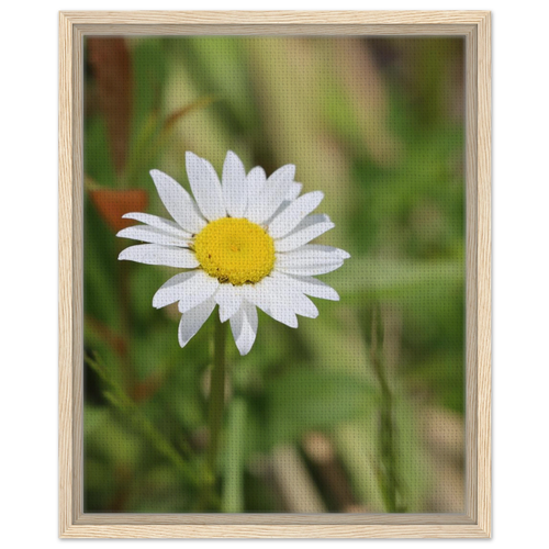 51752bb3-f880-433e-adc3-7f9fb8c5d835