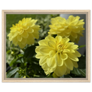 5299ecaf-ded9-43d3-a432-41b5e17fc729