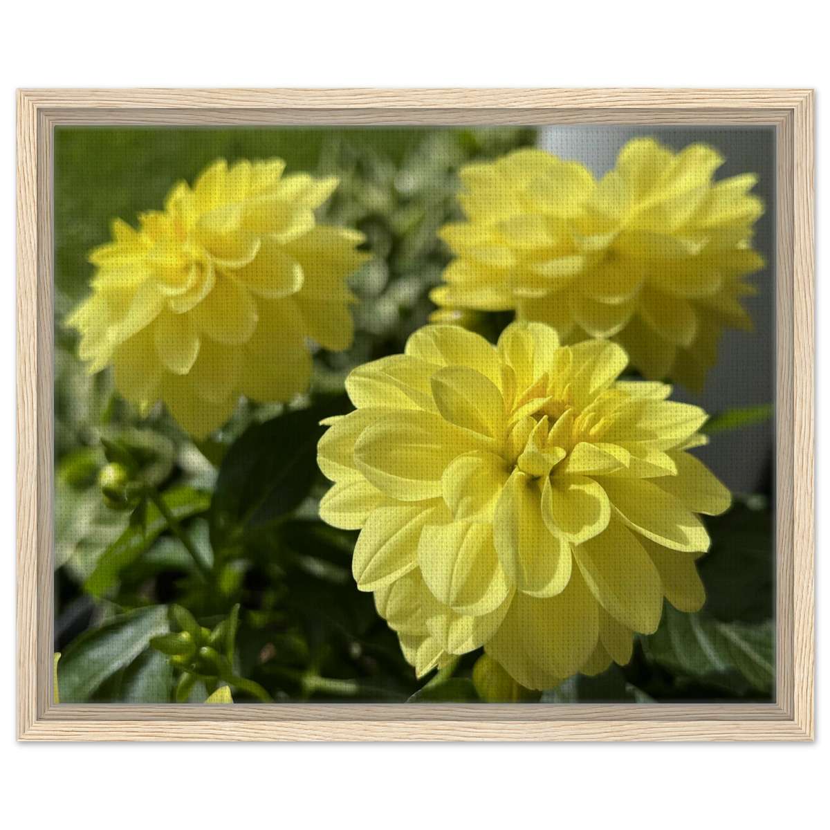 5299ecaf-ded9-43d3-a432-41b5e17fc729