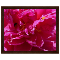 Dark wood frame