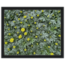 58495be1-895b-4787-b6d4-7d4947bc4d1d