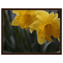 5893267c-99e3-43b2-a6f1-426926d0d334