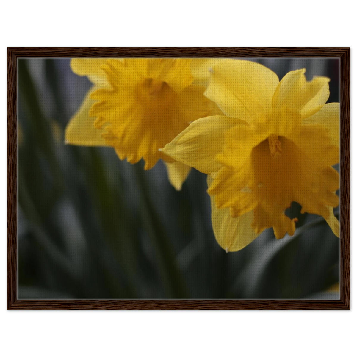 5893267c-99e3-43b2-a6f1-426926d0d334