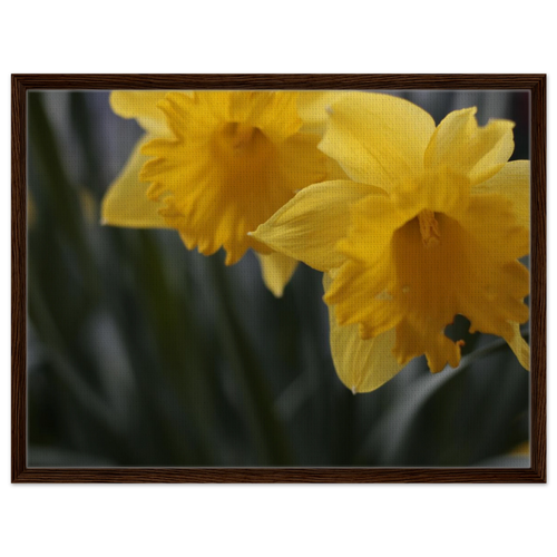 5893267c-99e3-43b2-a6f1-426926d0d334