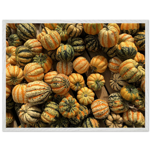 Wide framed artwork of harvest gourds, white grain frame, landscape orientation
