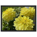 62b7b563-bb5e-4f08-98c1-d7b2c33c1fa5