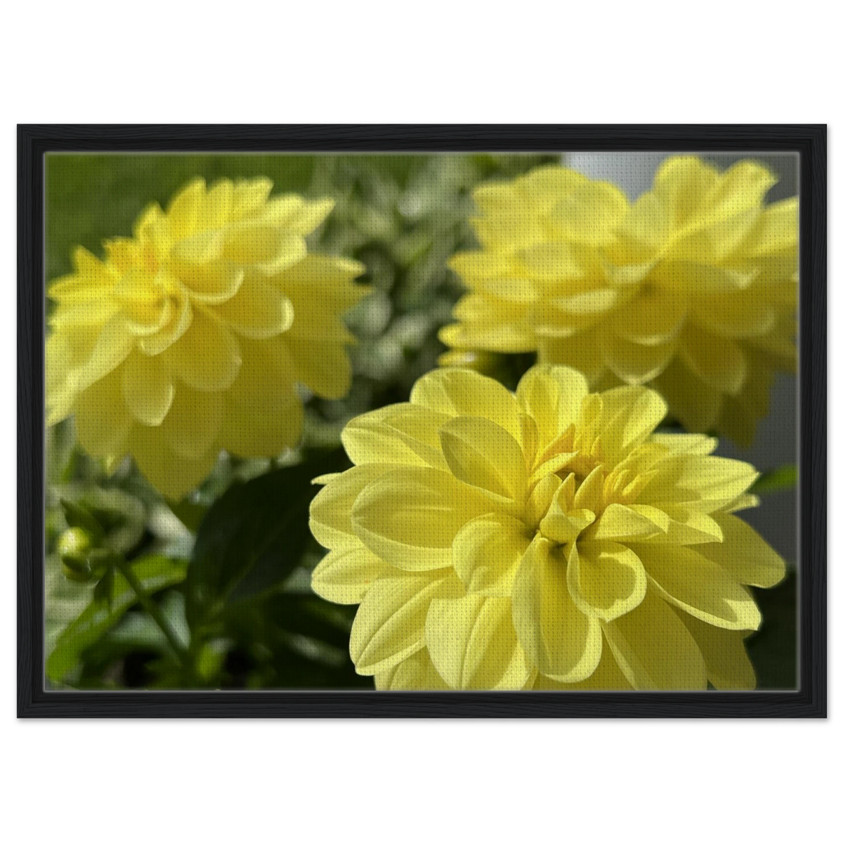 62b7b563-bb5e-4f08-98c1-d7b2c33c1fa5