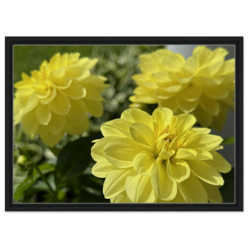 62b7b563-bb5e-4f08-98c1-d7b2c33c1fa5