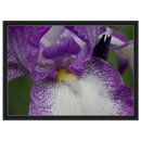 639eb146-e338-4297-9df4-f139a6f4ab46