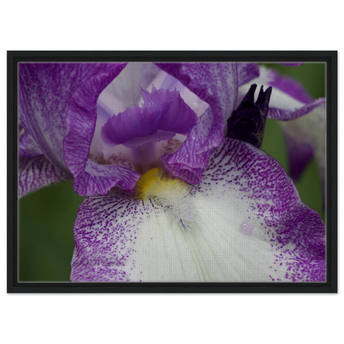 639eb146-e338-4297-9df4-f139a6f4ab46