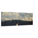 649d0b35-81ee-4b28-b0dd-7518bd5eceae