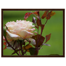 65f5ba3c-c370-4d92-8ae4-38871711858e