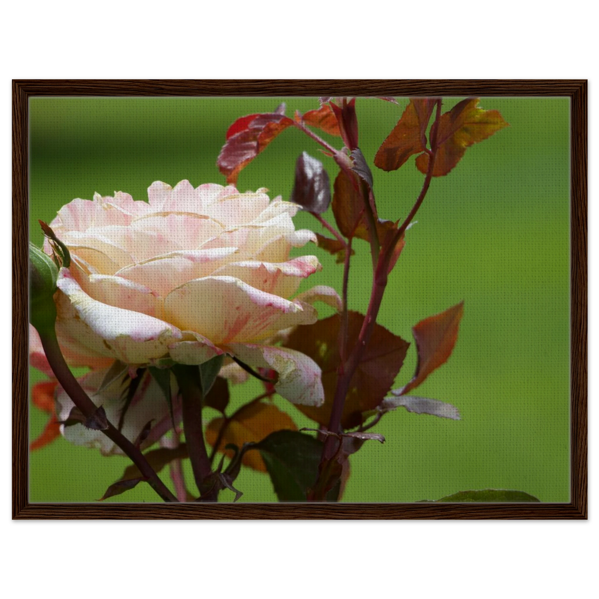 65f5ba3c-c370-4d92-8ae4-38871711858e
