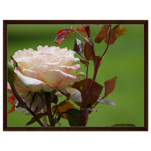 65f5ba3c-c370-4d92-8ae4-38871711858e