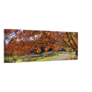 Wide canvas artwork showing a rural path under colorful fall foliage