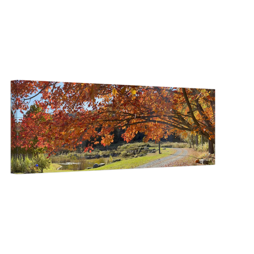 Wide canvas artwork showing a rural path under colorful fall foliage