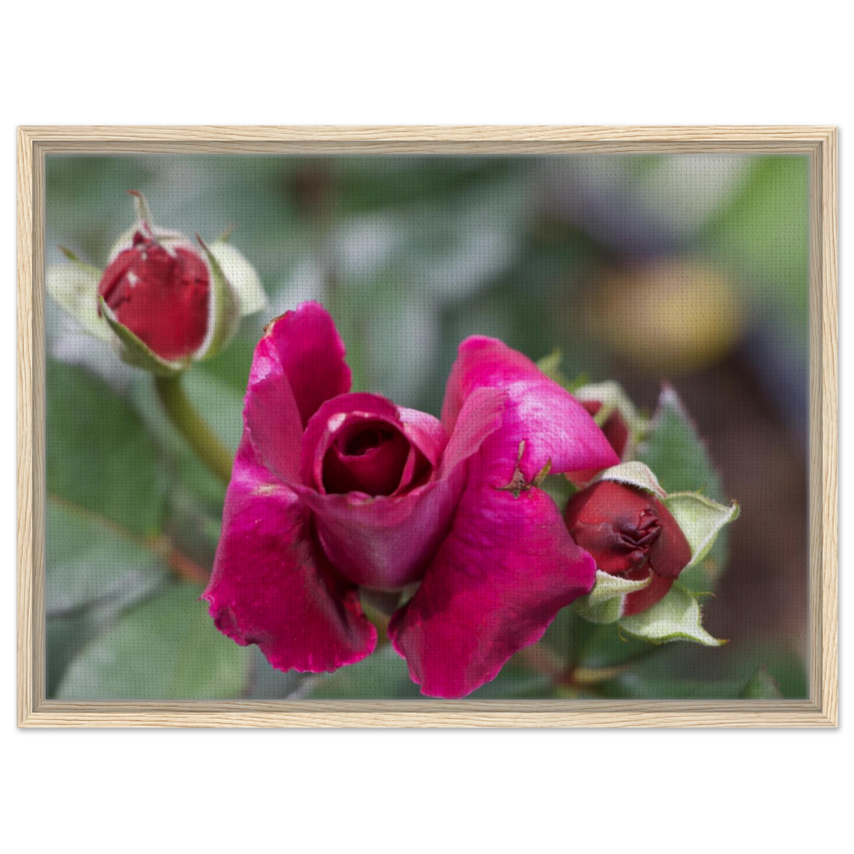 66ee4852-449c-4904-9dee-bfd09ef59000