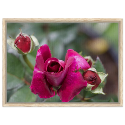 66ee4852-449c-4904-9dee-bfd09ef59000
