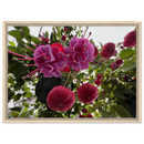 69e23343-fb1a-478e-8891-5b784cb54cc1