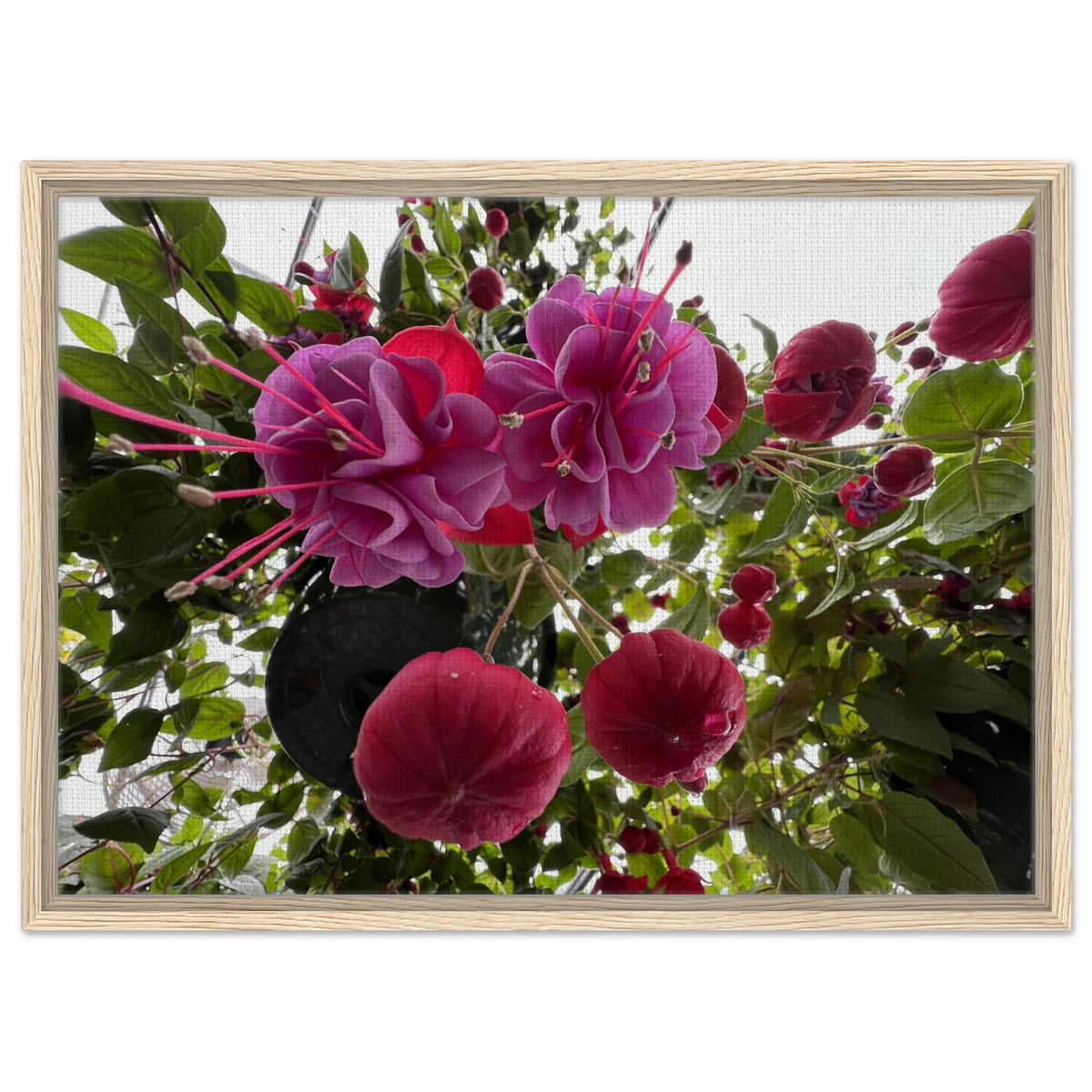69e23343-fb1a-478e-8891-5b784cb54cc1