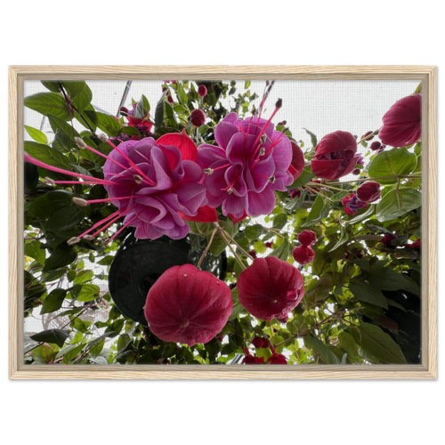69e23343-fb1a-478e-8891-5b784cb54cc1
