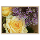 6a63cdaf-c646-4215-9e85-be2371dd8655