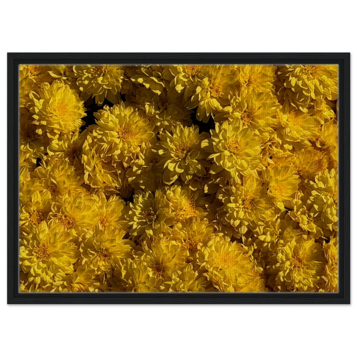 6c9bfd5c-0f58-4c3c-914f-a757073b08b6