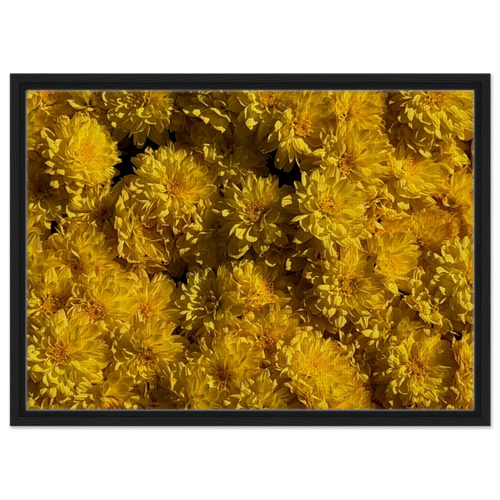 6c9bfd5c-0f58-4c3c-914f-a757073b08b6