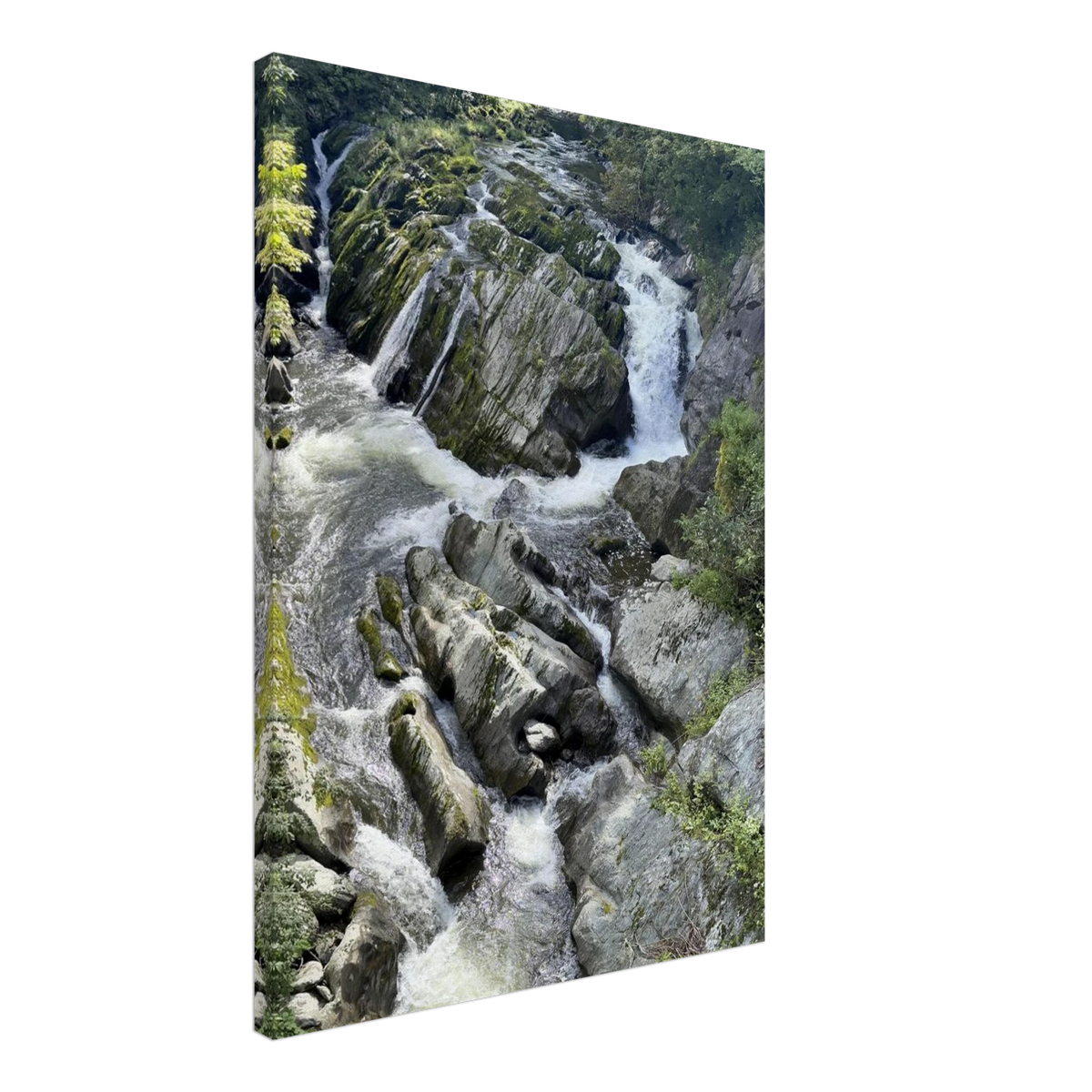 Gallery-quality canvas print showcasing stream flowing through stones