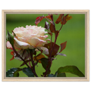 6eb773b4-3970-4e49-a88a-b83c8b5f7d51