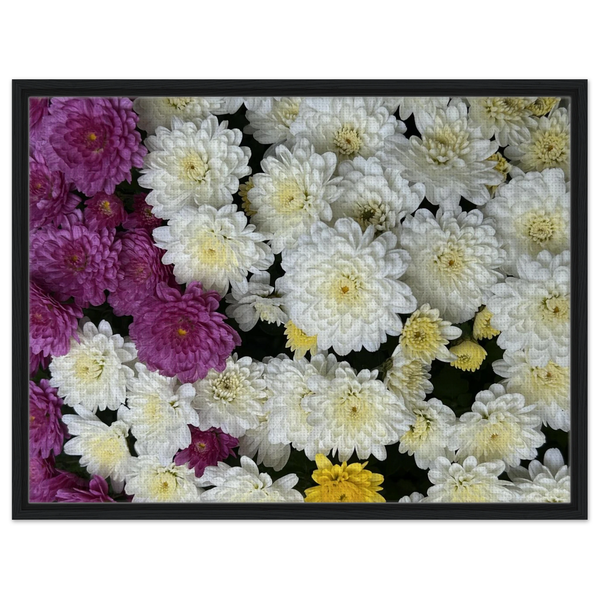 6f5410fa-ba4b-4f32-9224-a266a96b539b