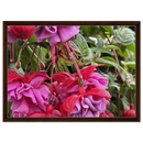 7065d881-45e7-46b8-b0fc-5f859b3c4a13