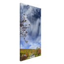 7302d772-112e-4fa9-9467-1a960378cc1f