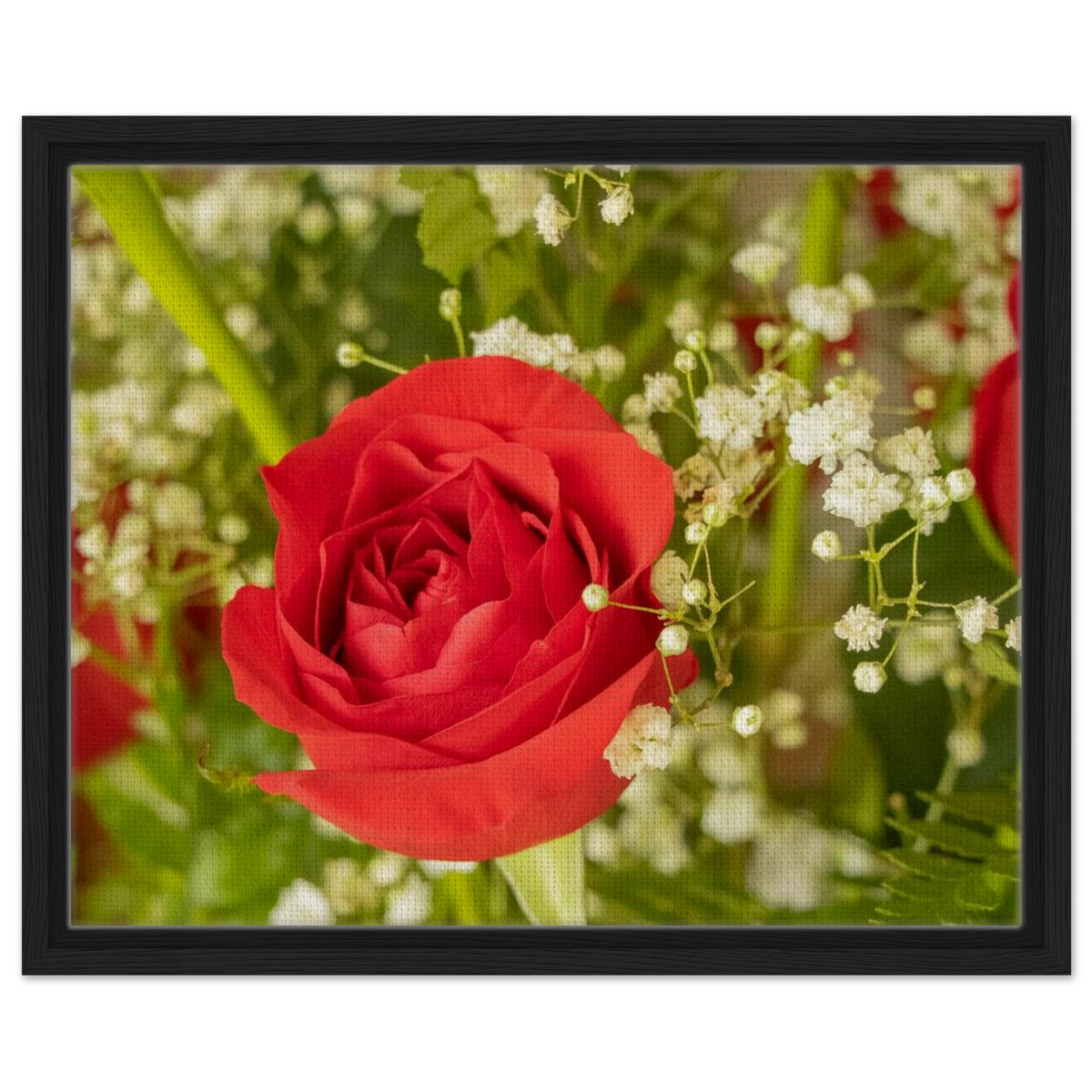 Framed canvas print depicting a red rose surrounded by baby's breath and leaves, black frame, alternate angle