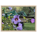 Framed canvas art of pastel hibiscus blooms with tractor in the background, blond wood frame