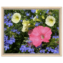 Framed canvas with pink, yellow, and blue spring flowers in light wood frame