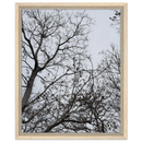 7eaf32b4-f267-4258-b86c-fe2c61f56432