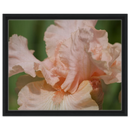 826b0fab-eb36-47cf-816a-72202fc6c501