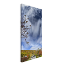 8631bffa-9a82-43d5-a2db-778aa120d6a9