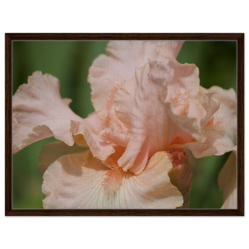87fd7cd5-c279-47df-a255-71760f0bbfb3