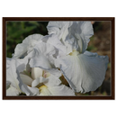 87fd9558-63db-4fa1-85fa-076004299f13