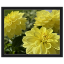 8a330e87-a180-4947-92cb-55b5f1453ed4