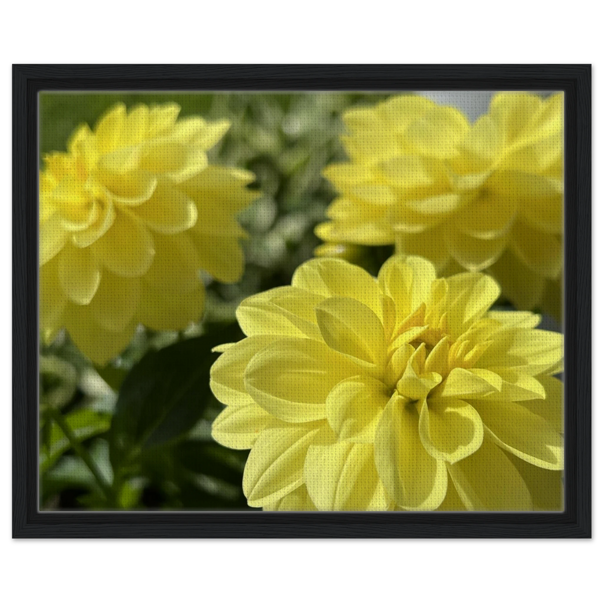 8a330e87-a180-4947-92cb-55b5f1453ed4